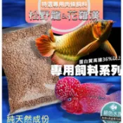 F日本龍魚飼料 龍魚飼料 魚飼料 花羅漢飼料 台灣製造 大型魚肉條 (嗜口性超佳) 台灣高夠力