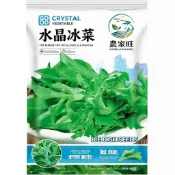 【原裝進口】水晶冰菜種子 冰花菜 陽台盆栽蔬菜 高發芽率 耐旱好種 送種植教學 現貨速發