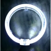 【🇹🇼台灣本土出貨】2.5吋 3吋 LED 爆亮 光導 天使眼 光圈 天使眼 惡魔眼 魚眼 （非COB CCFL）