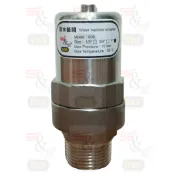 [寶閥精密] 台製水錘吸收器 不鏽鋼活塞式 8分管用(1吋)-有指示器 水鎚吸收器 防水錘閥 熱水器 水龍頭保護配件
