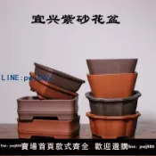 聚寶盆萬貨行 【店家補貼】宜興紫砂花盆 便宜的盆景盆 菖蒲羅漢松盆長方形圓形盆桌面文竹盆