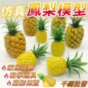 仿真鳳梨模型 水果切片  鳳梨切片 仿真水果 假水果片 水果模型學校教具 攝影道具