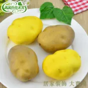 滿299出貨 假水果模型 假水果 仿真水果 假蔬果 假蔬菜 高仿真土豆模型泡沫假土豆蔬菜水果道具攝影影視兒童早教櫥柜裝飾