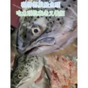 挪威現撈鮭魚頭厚切頸肉(整顆）已切塊分裝2包