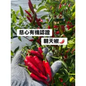 金果子農場 有機朝天椒 一斤（600g) 慈心有機認證 有機辣椒  朝天椒 辣椒