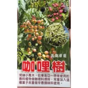 《花鄉苗圃》 咖哩樹、咖哩葉、可因氏月橘、香料