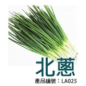 【醬米資材】DIY種子栽種 成就滿滿~北蔥