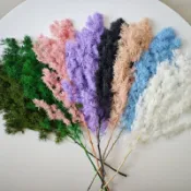 永生不凋蓬萊松 5克