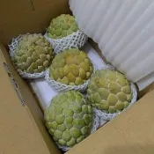 【WANG 蔬果】台東大目釋迦_特大果4-5顆x2箱(5斤/箱_果農直配)
