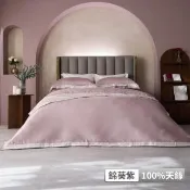 【BBL Premium】100%天絲素色兩用被床包組-天長地久-錦葵紫(特大)