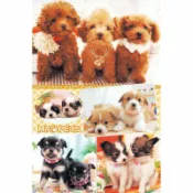 拼圖貓 臺灣製優質1000片夜光拼圖 -寵物系列-MY PETS 1000-193D