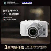 二手Olympus/奧林巴斯E-PL6入門復古高清旅游人文微單反數碼相機
