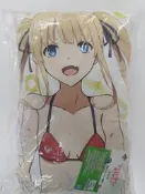 【卡賣啦】現貨 日版 一番賞 不起眼女主角培育法♭ 第3彈 英梨梨 美智留 加藤惠 抱枕