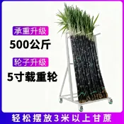 卜二屋 公司貨 附發票 免運 水果店放甘蔗架子立放展示架賣甘蔗擺放架斜放固定支撐超市陳列架 快速發貨