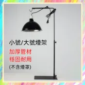 ★爬蟲新樂園★[台灣現貨]爬蟲落地燈架 燈架 金屬落地燈架 小號 大號燈架 爬蟲 烏龜 蜥蜴 蛇 蜘蛛 蠍子 變色龍