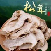 壹灣發貨🚀正宗野生松茸菇菌菇乾貨雲南特產香格里拉野生松茸菌鮮松茸乾片