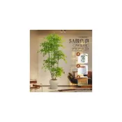 (店+)廠家直銷/免運 筠釵南天竹仿真綠植造景室內沙發旁高級仿生大型綠植盆栽假花植物  擺件 美居生活屋