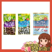 【小薰選品】日本 正榮 果實 Veil 葡萄乾 蔓越莓巧克力 蔓越莓 葡萄乾巧克力 巧克力 優格 優格葡萄