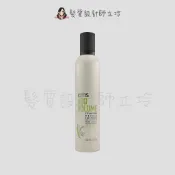 立坽『造型品』歌薇公司貨 KMS AV豐盈泡泡300ml(支撐3；光澤2) IM03 IM04