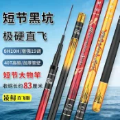 全館6折起🐟品牌極硬魚竿19調810H短節高碳手竿溪流竿黑坑直飛羅非釣魚竿漁具