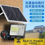 臺灣公司 可開發票 橡皮圈 牙套橡皮筋 牙齒矯正橡皮筋 專用