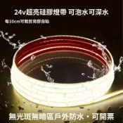 【IP68防水】24V LED燈條 燈帶 COB燈條 魚缸燈 魚缸 燈 水底燈 水下燈 魚池燈 戶外燈條 室外燈 低壓燈