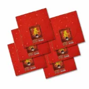 永昌創新國際有限公司 天成筆墨莊 春聯紙 一字春聯 灑金紙 手工宣紙 17X17CMX7張入X6包 /組 4716608995612