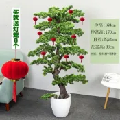 ✨快速出貨✨可開發票✨仿真綠植迎客松羅漢松大型假樹盆栽裝飾室內客廳落地崖柏盆景擺件