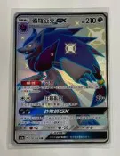 PTCG 寶可夢 索羅亞克 GX 色違 中文版 收藏