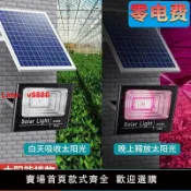 白日夢想家 【台灣公司 超低價】800太陽能植物生長燈全光譜花卉肋長開花多肉上色防雨植物補光燈