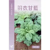 種子王國 羽衣甘藍 無頭甘藍種子【蔬果類種子】生長旺盛 質地柔軟 耐寒 耐肥 採收期長 興農種苗 美國進口 每包約1公克