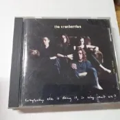 The Cranberries 小紅莓 Everybody Else Is Doing It有何不可收linger王菲夢