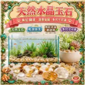 【雨花石】魚缸造景專用石 天然小玉石  園林裝飾花卉鵝卵石 小石頭 花園 珍珠石 花園城堡 寵物造景 園藝 觀葉 多肉