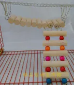==臻品寵物生活館==兩件式二件式實木軟橋.樓梯(爬梯).寵物玩具.倉鼠布丁鼠哈姆太郎小鸚鵡牡丹愛情鳥橫斑太平洋鼠玩具