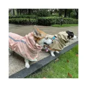 (店+)大狗雨衣 狗狗雨衣 狗狗雨衣鬥篷 快套式雨衣 輕薄雨衣 米克斯雨衣 鬥篷雨衣