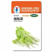 (店+)【天橙種子】娃娃菜種子 芽用型結球白菜 SV-505 約1公克 特選種子 葉菜類 農友種苗 家庭園藝 彩色原包裝
