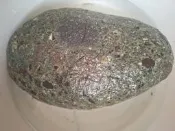六龜-龍紋青石-五彩小紅莓，橢圓，可作小茶盤，聚寶盆，水果盤其他