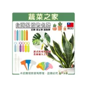 (店+)【蔬菜之家】台灣製植物名牌 花牌 標示牌 植物牌 植物標籤 防水防曬 多肉標籤 多肉 鹿角蕨 名牌 標籤 植物名花牌