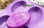 蜜豆奶小舖/4連天堂樹矽膠手工皂模具 可做矽膠蛋糕模工具 香薰蠟燭模具 橢圓形