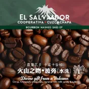 薩爾瓦多 卡茲卡恰帕 火山之吻・波旁[水洗]_接單現烘咖啡豆