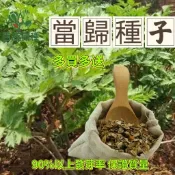當歸種子 漢方草藥種子 藥用植物 可食用 滋補養生 自家陽台盆栽 園藝療癒 新鮮種子 易栽種 台灣家庭園藝