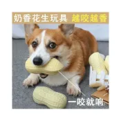 (店+)狗狗狗子髮聲花生花生捏捏柯基可愛狗網紅逗狗球幼犬