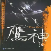 鷹神-中國空軍創世紀背後的故事 葉槐青 經濟管理出版社