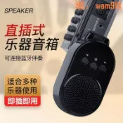 悠樂館 【台灣公司】電吹管電吉他專用直插式小音箱擴音器藍牙音箱伴奏U盤便攜式音響