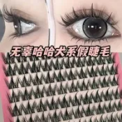滿99出貨 十排大容量犬系假睫毛芭比大眼娃娃感單簇分段式睫毛新手三部曲【蕭妞】