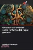 【三民網路書店】Ghiandole surrenali sotto l'effetto dei raggi gamma 作者：Abdelhafid Mimouni