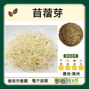 【台灣出貨 電子發票】苜蓿芽 種子 菜籽 芽菜 苜蓿 水耕 悶罐 梅森罐 紫花苜蓿芽 空中花園藝世界