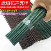 在台免運👐3MM粗鐵桿盆栽植物花卉支架 蘭花金錢樹蝴蝶蘭支撐杆 膠包加粗花杆 植物支架 花桿 支架 可自由彎曲