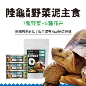 龜仔叔叔🔥【陸龜野菜泥】大包裝 營養補充 小點心 陸龜野菜 陸龜飼料 陸龜主食 免泡水 適口性好 草食型爬蟲