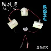 協貿國際日用品生活12館 科學小制作小發明小實驗器材水果電池發電土豆可樂發電銅片鋅片